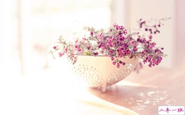 2019谷雨微信祝福语说说 谷雨快乐心情说说大全1