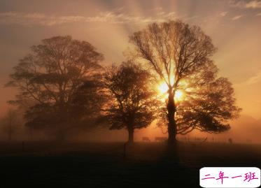 今天心情很好的微信说说 心情好发朋友圈的说说大全1