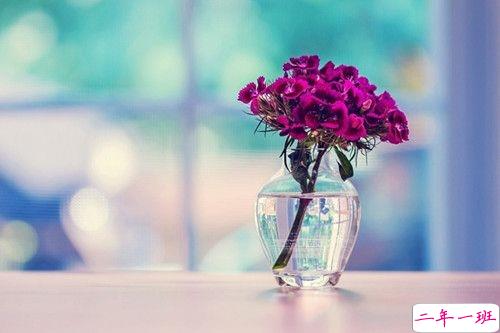 2019最新春分微信说说大全 春分节气最美祝福语1