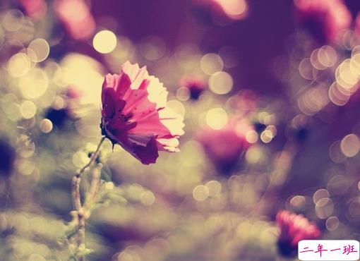 2019最新三月心情说说有点伤感 心里不是滋味的说说短句1