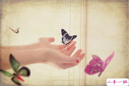 2019三月穿暖花开的说说心情短语 三月来了微信唯美句子大全2