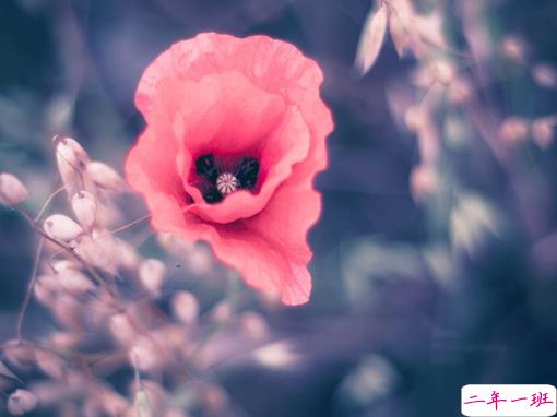 2019最新三月心情说说有点伤感 心里不是滋味的说说短句2