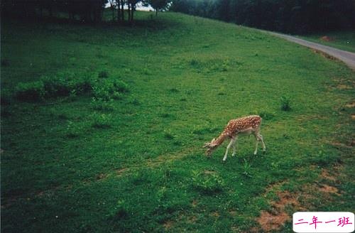 喜欢独来独往的人是怎样的心理状态 享受一个人的心情说说很特别2