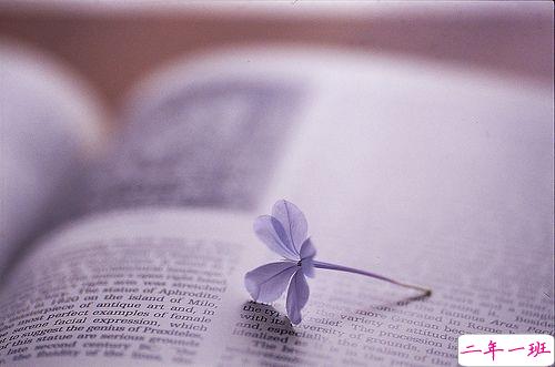 给女生的小情话暖人心超浪漫 低调秀恩爱的说说心情短语2