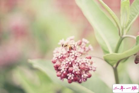 很特别适合女生的个性说说大全 朋友圈女生简单有气质的话语1