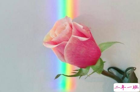 只想送给自己的句子说说心情精选 朋友圈适合艾特自己的说说大全2