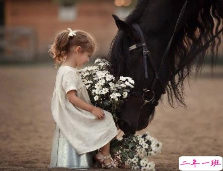 爱情伤感说说看完哭了那种 这一路走来的爱情心酸说说20181