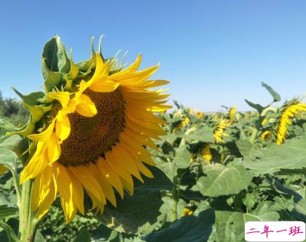 2018九月你好唯美经典说说精选 八月再见九月你好明天会更好1