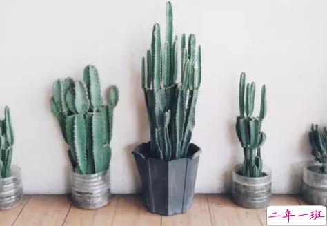 告别八月迎接九月的正能量早安说说 朋友圈九月早安心语说说20181