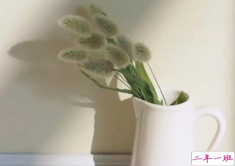 告别八月迎接九月的正能量早安说说 朋友圈九月早安心语说说20183