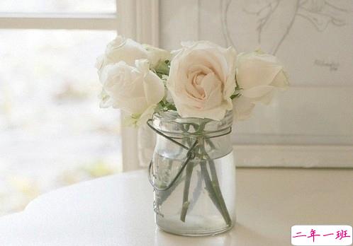 爱到放手的心累心情说说 不想继续爱下去的心情说说2