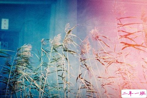 感到心酸却无能为力的现实说说 生活让人内心酸痛的生活现实说说1