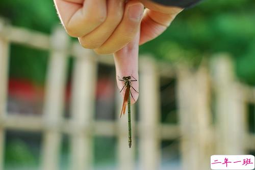 总是在一个人的时候怀念往事的说说 怀念青春年少时的心情说说2