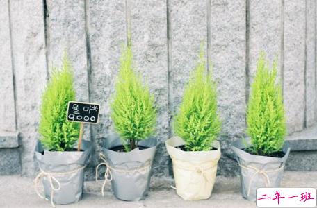 2019说说大全最新版的致自己,句句说到心坎上1