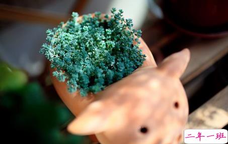 2019说说大全最新版的致自己,句句说到心坎上3