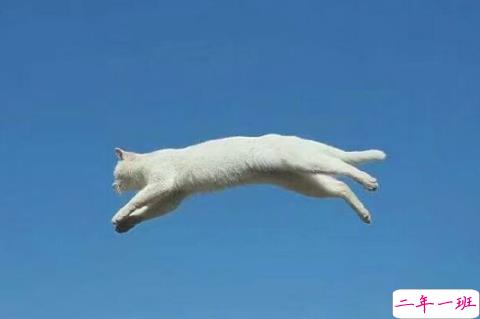 温暖治愈系说说简短一句话 生活中温暖一句话说说心情短语1