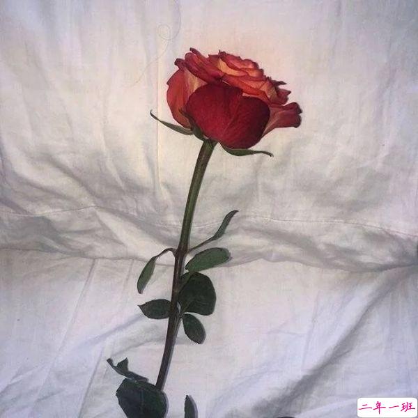 心情突然低落时候发的心情说说大全1