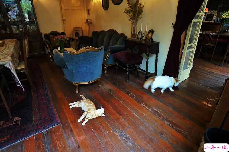 适合心情不好时发的孤独寂寞的说说 渡不过去的是生生世世的思念2