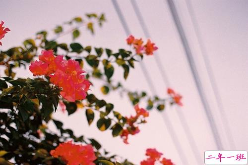 心碎心痛的时候发的说说 原来梦里也会心痛能痛到醒来1