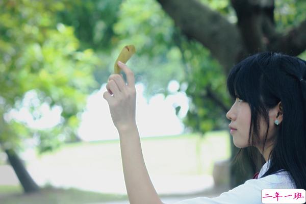 文字控文艺小清新句子 天山鸟飞绝古人两相忘1