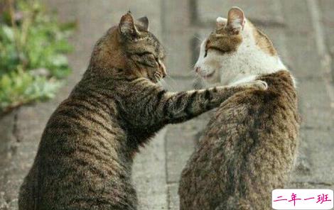 关于朋友的说说现实的句子长篇 你和你朋友认识多久了?2