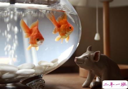 关于网恋奔现后失恋的说说大全 一段奔现就结束的感情2