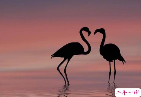 唯美说说大全一段话 适合空间置顶的唯美说说3