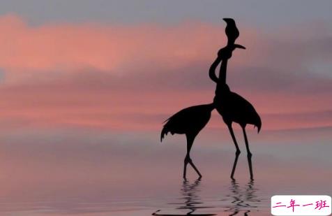 唯美说说大全一段话 适合空间置顶的唯美说说4