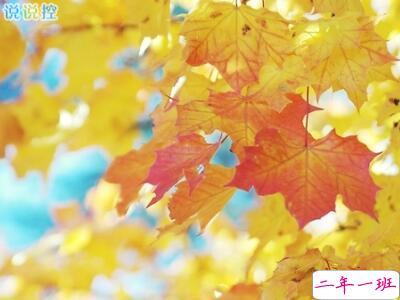 女生心情说说大全1 女生心情说说大全1