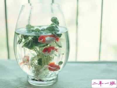 2017心情说说感悟生活 2017心情说说感悟生活