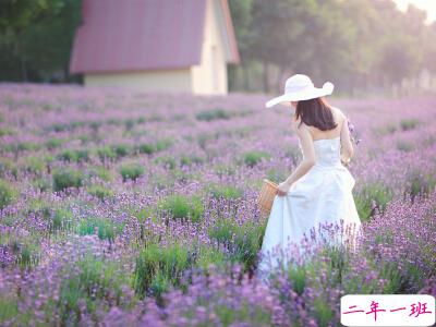 心情文字短句 心情文字短句