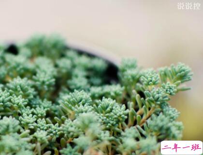 适合发说说的文字 适合发说说的文字