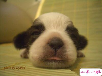 个性心情短语 个性心情短语