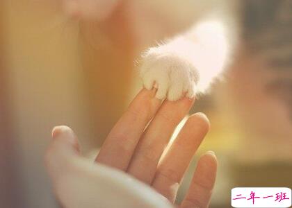 转发过万的说说 转发过万的说说