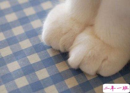 适合发说说的句子 适合发说说的句子