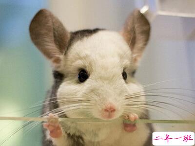 好看的QQ说说大全1 好看的QQ说说大全1