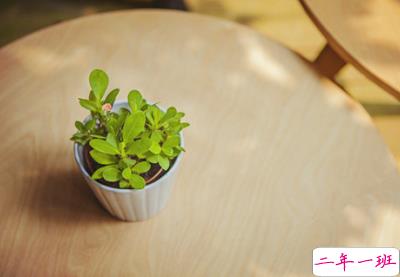 经典的心情短语大全2