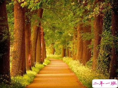 很不错的QQ说说:别矫情,这世上没有不带伤的人