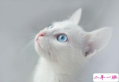 个人说说超拽:有时候疏远某人不是讨厌,而是太喜欢