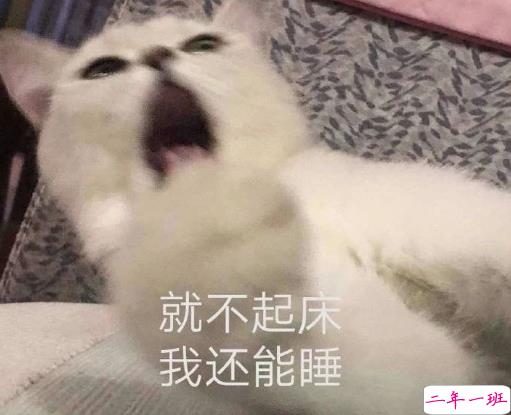 不想起床发朋友圈的搞笑说说 赖床睡懒觉的有趣说说1