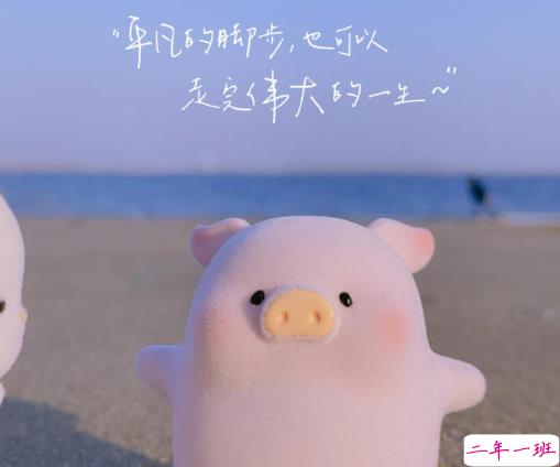 讽刺性极强的扎心文案 很现实的讽刺句子2