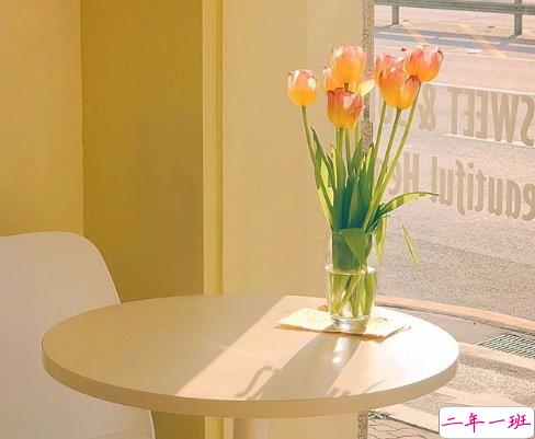 2021春天观赏樱花的心情说说 三月看樱花的优美文案2