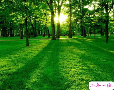 植树节的简短文字手抄报文案配图 2021微信植树节说说带图片1