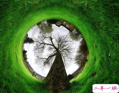 植树节的简短文字手抄报文案配图 2021微信植树节说说带图片3