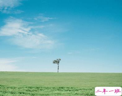 植树节的简短文字手抄报文案配图 2021微信植树节说说带图片4