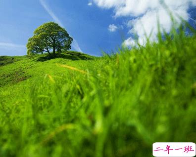 植树节的简短文字手抄报文案配图 2021微信植树节说说带图片6