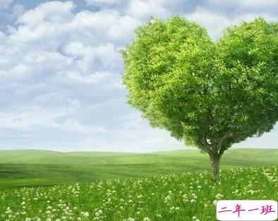 植树节的简短文字手抄报文案配图 2021微信植树节说说带图片7