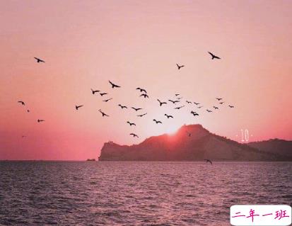 用姓氏公布恋情的短句 抖音很火姓氏表白的好听短句2