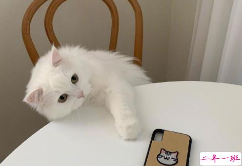 2021超级温柔告别文案 温柔又好听的告别句子1