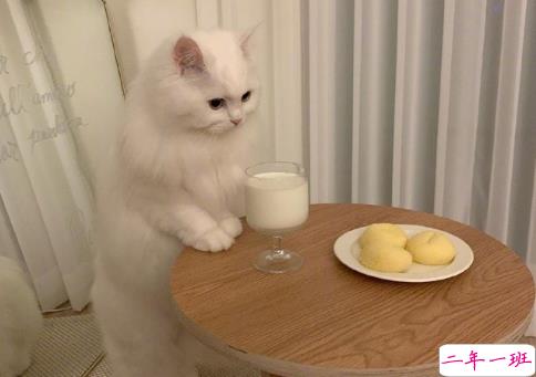 2021超级温柔告别文案 温柔又好听的告别句子2